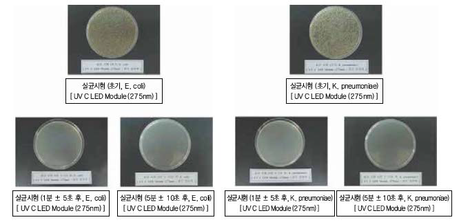 UVC 모듈을 이용한 살균결과
