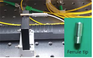 Assembly of a ferrule tip with collimator