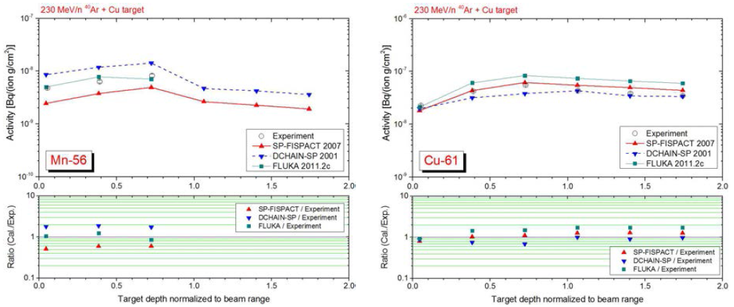 230 MeV/n 아르곤빔에 의해 구리표적 내에 생성된 56Mn과 61Cu의 깊이에 따른 방사능분포.
