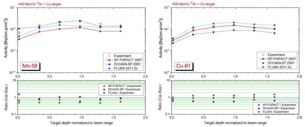 400 MeV/n 아르곤빔에 의해 구리표적 내에 생성된 56Mn과 61Cu의 깊이에 따른 방사능분포.