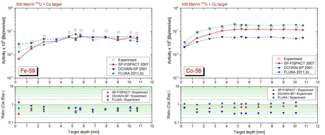 500 MeV/n 우라늄빔에 의해 구리표적 내에 생성된 59Fe과 56Co의 깊이에 따른 농도분포.