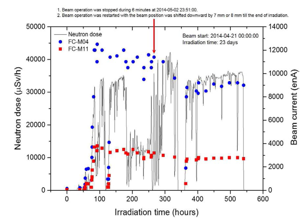 23일 우라늄 빔 조사시간 동안의 패러데이 컵으로 측정된 빔 전류와 중성자 지역감시기로 측정된 선량 이력.