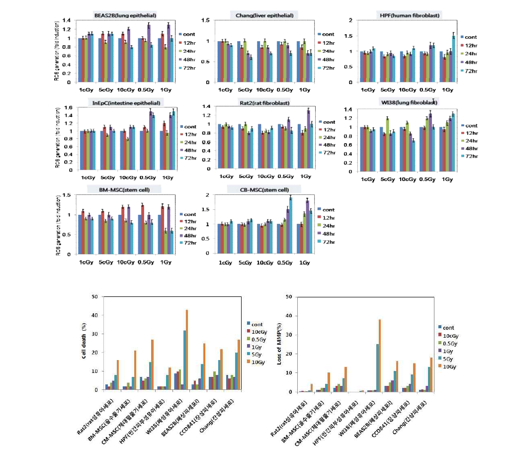 다양 정상세포 및 줄기세포에 방사선 조사 후 활성산소(ROS) 생성 및 세포사멸 비교