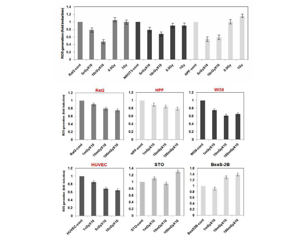 저선량방사선 단일 또는 반복 조사 후 세포내 활성산소(ROS) 생성 비교