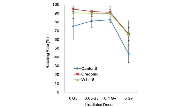 방사선 노출에 다른 야생형 초파리 부화율 분화감소시킴