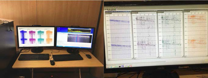 OBC seismic survey data display.