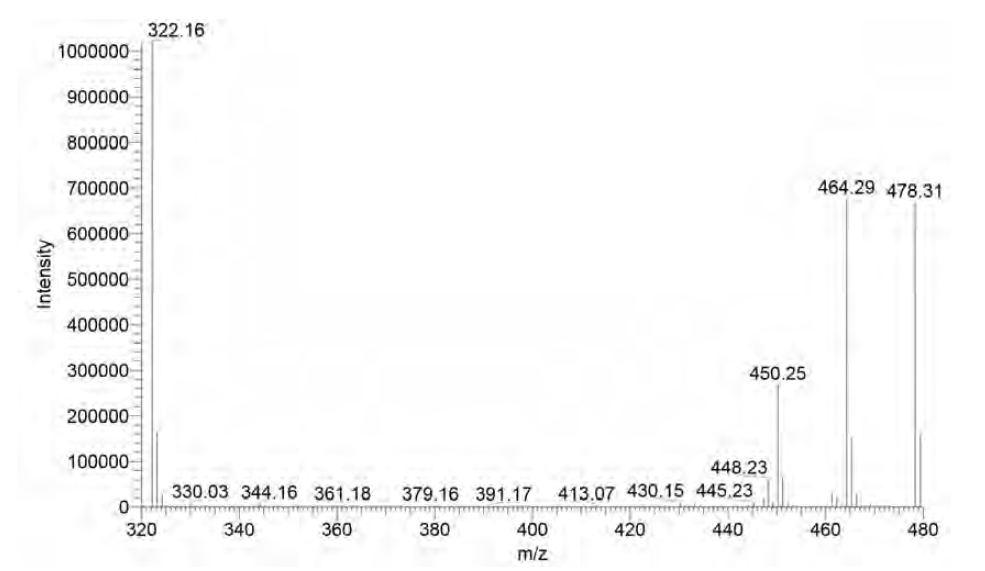 젠타마이신 C1(478), C2, C2a(464), C1a(450) 타입과 젠타마이신(322)의 질량분석 피크
