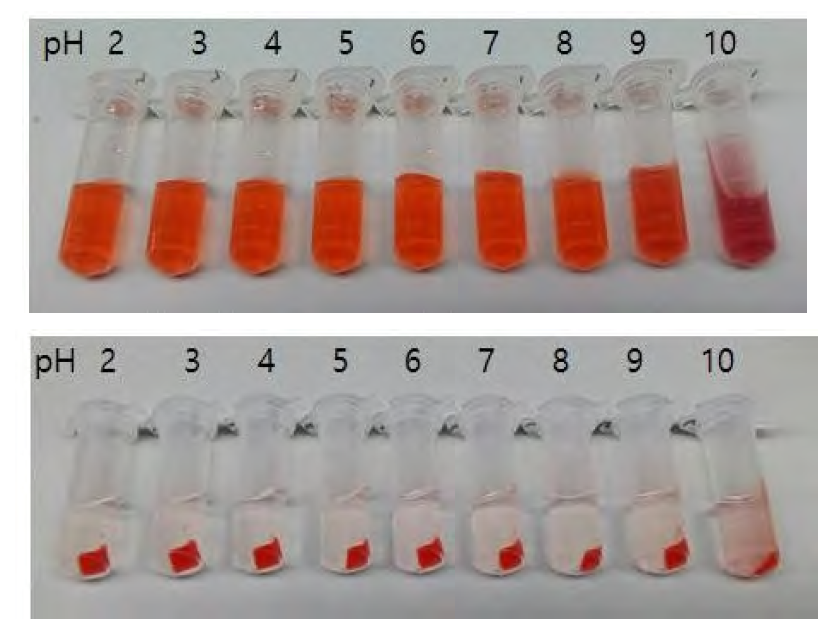서로 다른 pH에서의 독소루비신-벤토나이트 흡착물 현탁액 (상) 및 이에 대한원심분리 후 사진 (하)