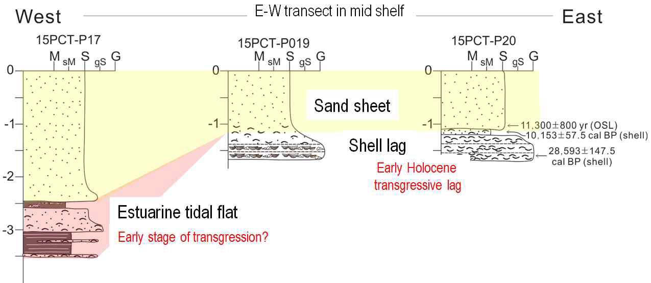 The east-west transect of core logs taken from middle shelf