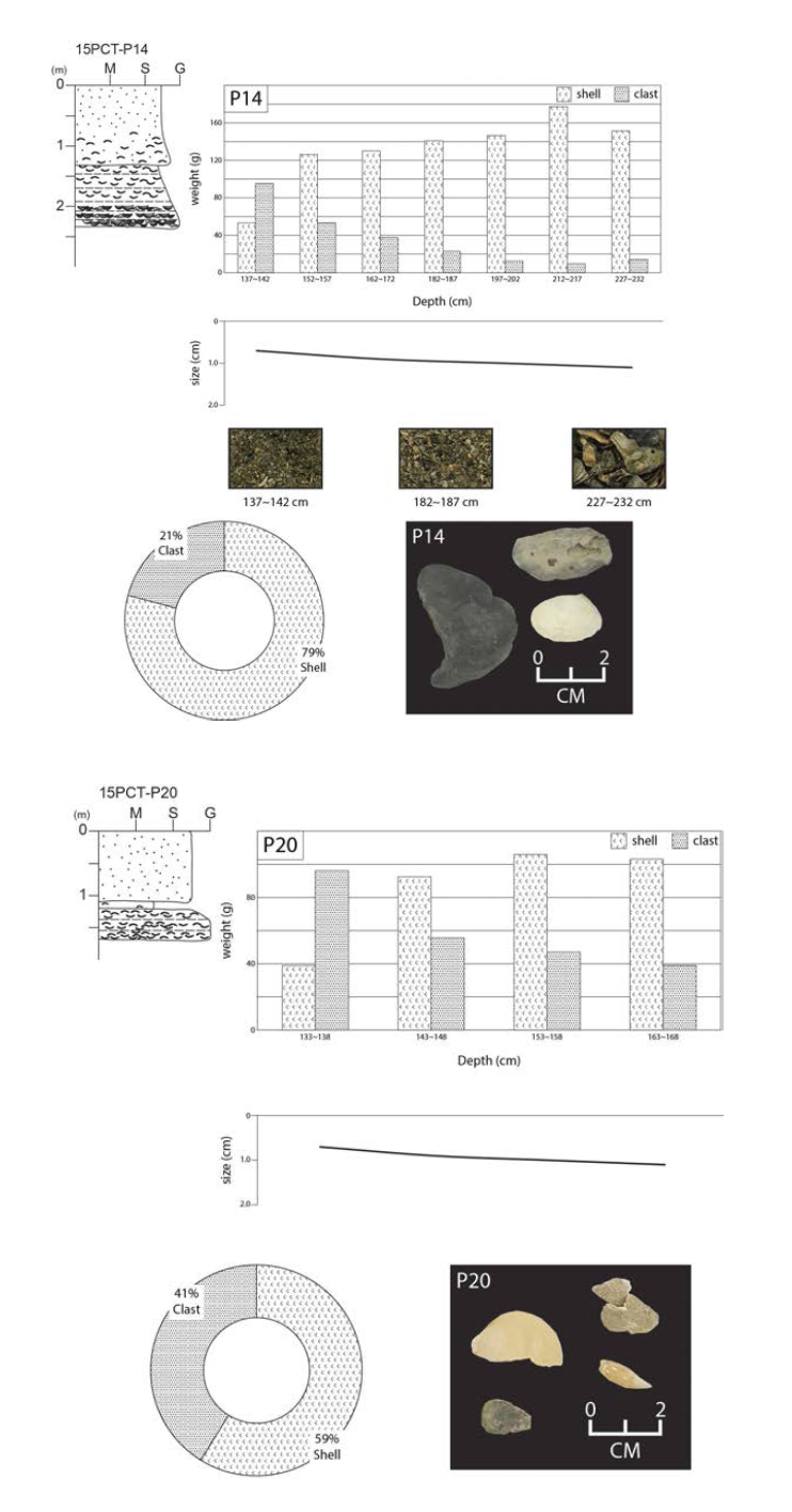 The Shell bed analysis result of 15PCT-14 and 15PCT-20