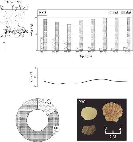 The Shell bed analysis result of 15PCT-30