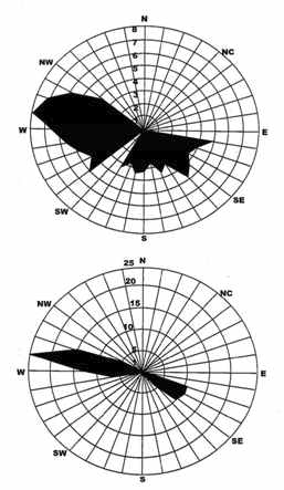 Current speed, cm/second (top) and current frequency, % (bottom) monitoring at St 1 on July 12-20, 1988 and dt-10 minutes at Eretan Sea, Indonesia