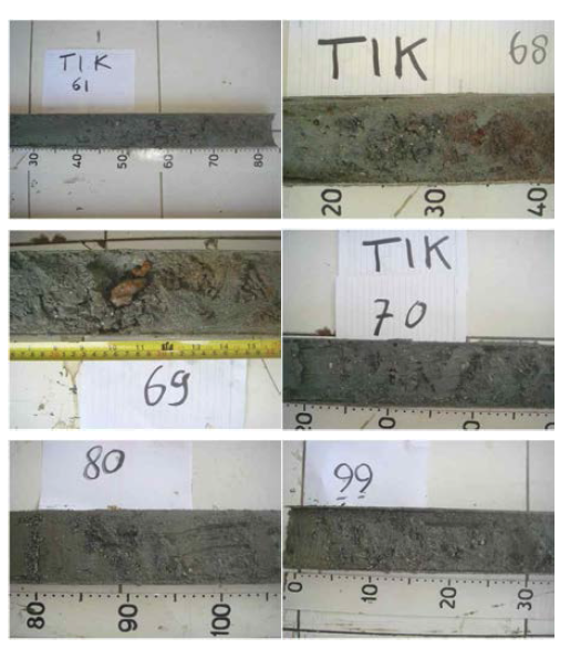 Core photos showing sandy sediment compositions