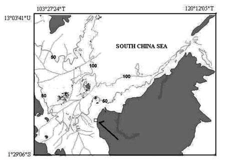 Regional paleo-channels system in northwest Sunda Shelf