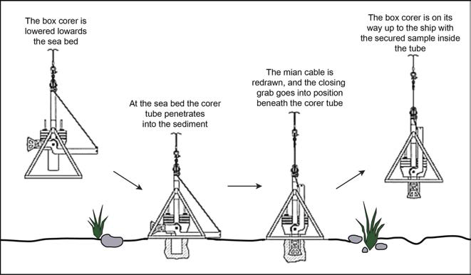 A cartoon for box corer operation.