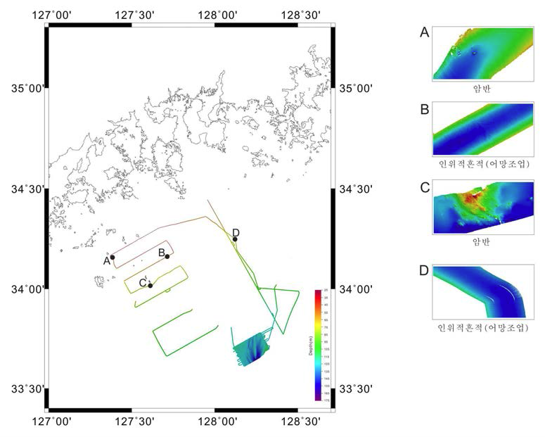 Seafloor features in 2016 survey