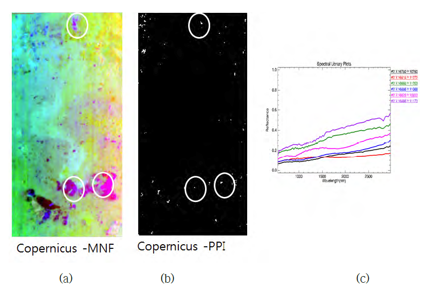 Spectral Reflectance Extraction of Endmembers from Copernicus Crater of M3 images