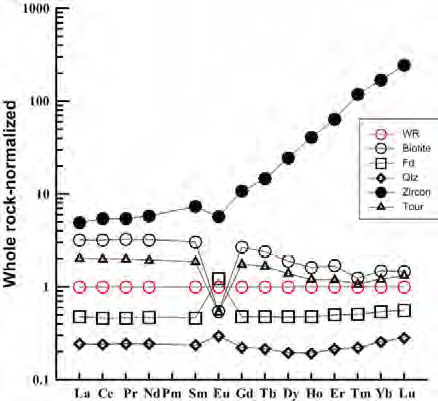 Whole rock-normalized rare earth element patterns for the constituent minerals