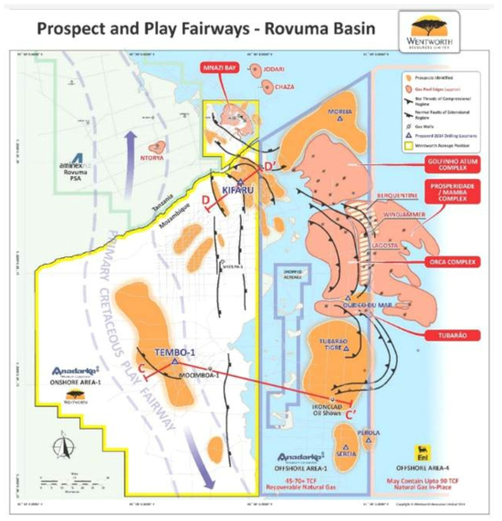 Prospect fairways of Ruvuma Basin. Gas fields in the deep sea areas are