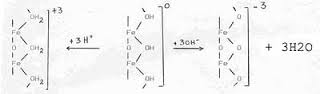 Surface charge of iron oxide due to adsorption of H+ or OH-.