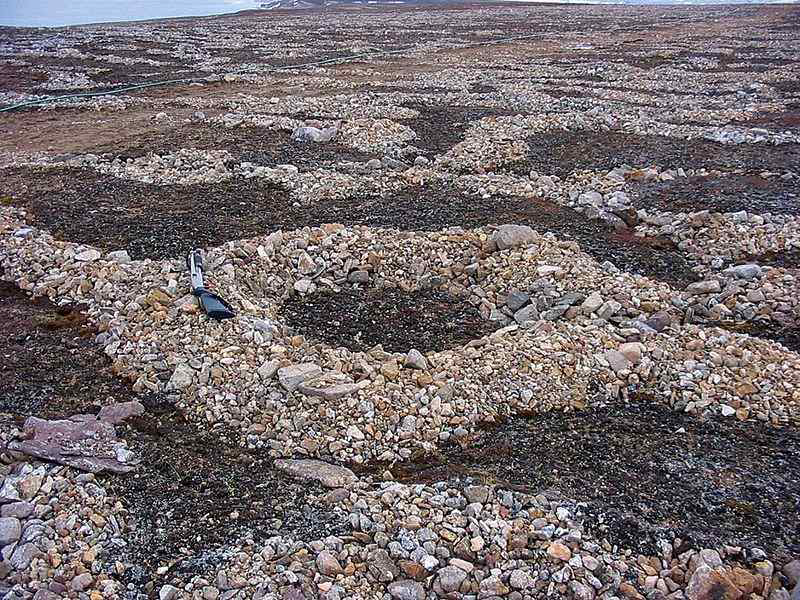 Patterned ground made up of rings of stones in the Svalbard.