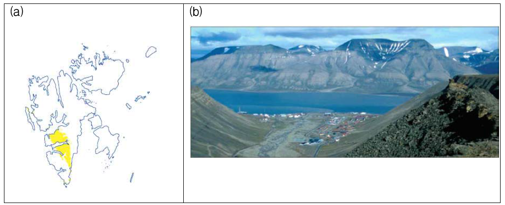 Tertiary rocks in Svalbard