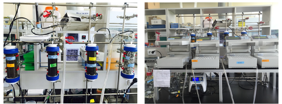 잔류 산이 지질생태계에 미치는 지화학 영향을 평가하기 위한 컬럼 셋업 모습