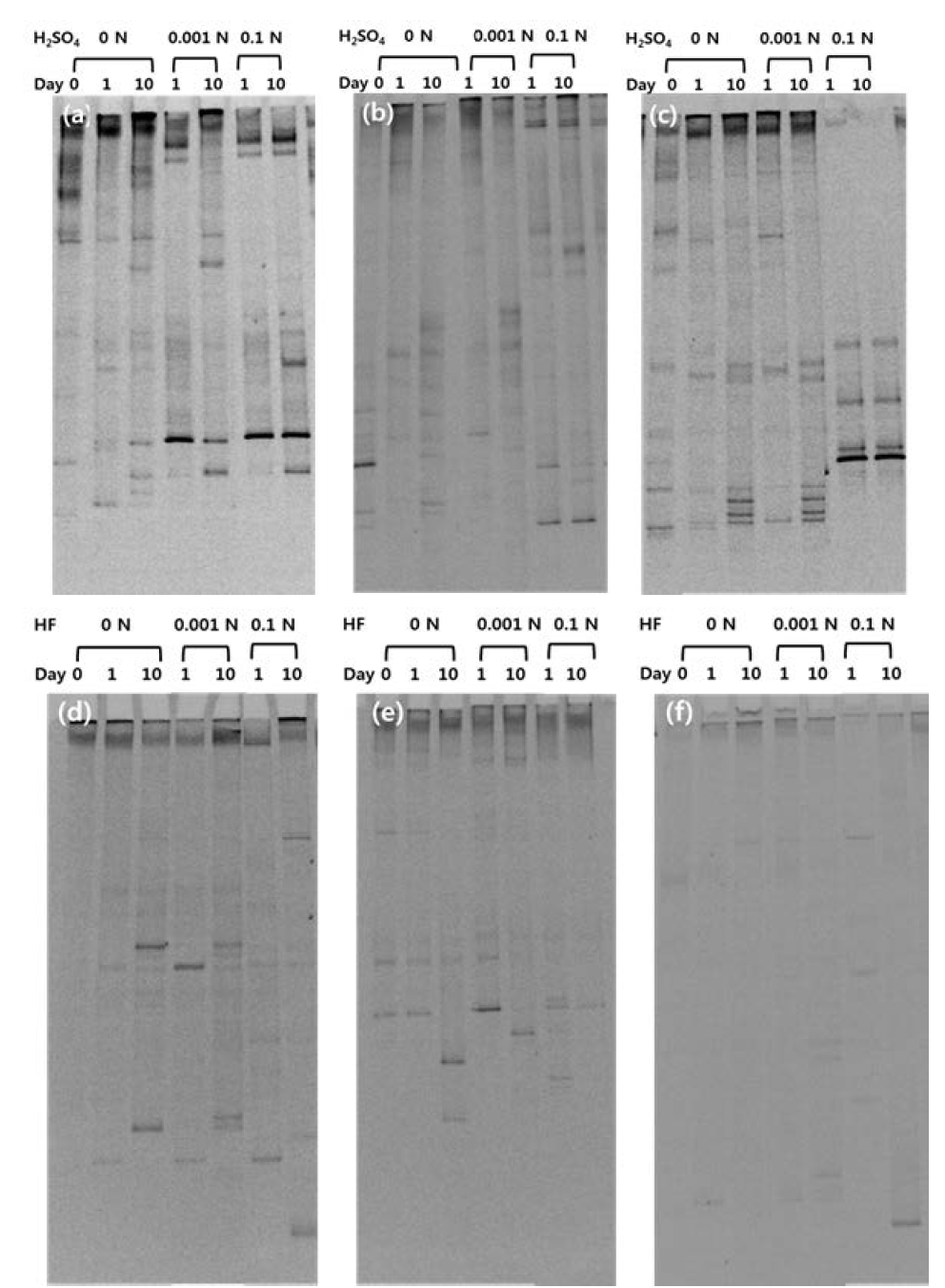 Comparative DGGE band profiles of bacterial communities in acid-exposed soil samples.