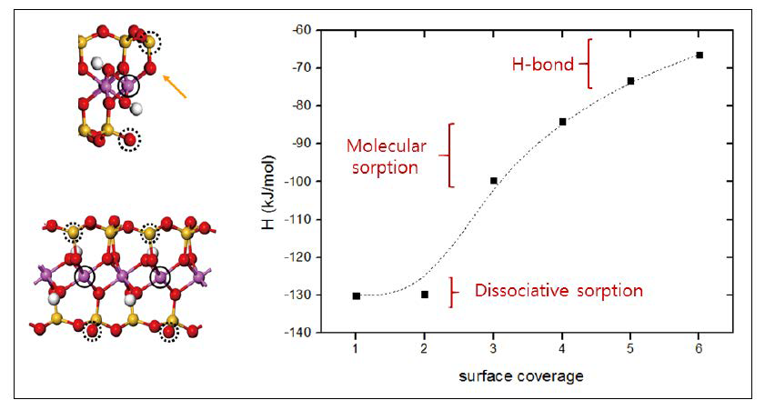 파이로필라이트 표면에 물분자가 반응할 수 있는 원자 수준의 사이트 및 흡착하는 물분자의 표면 커버리지에 따른 흡착 에너지 변화
