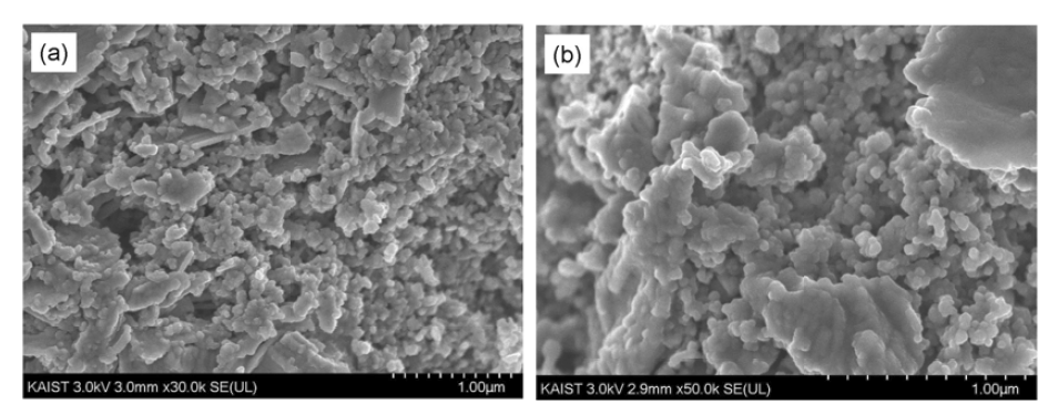 FE-SEM image of the surface of the residues obtained after the selective chlorination process using particle sizes in the ranges of (a) 75 – 105 ㎛ (Exp. no. 150526) and (b) 105 – 150 ㎛ (Exp. no. 150527).