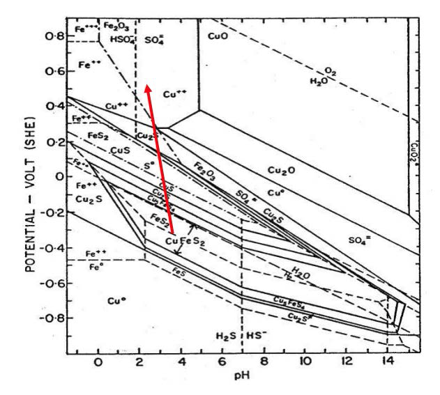 Potential/pH diagram for Cu-Fe-S-H2O at 298K