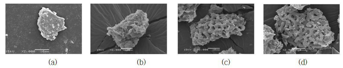 SEM micrographs of chalcopyrite (a) before leaching, (b) after sulfuric acid leaching, (c) after sulfuric acid leaching with sodium chloride, (d) after hydrochloric acid leaching