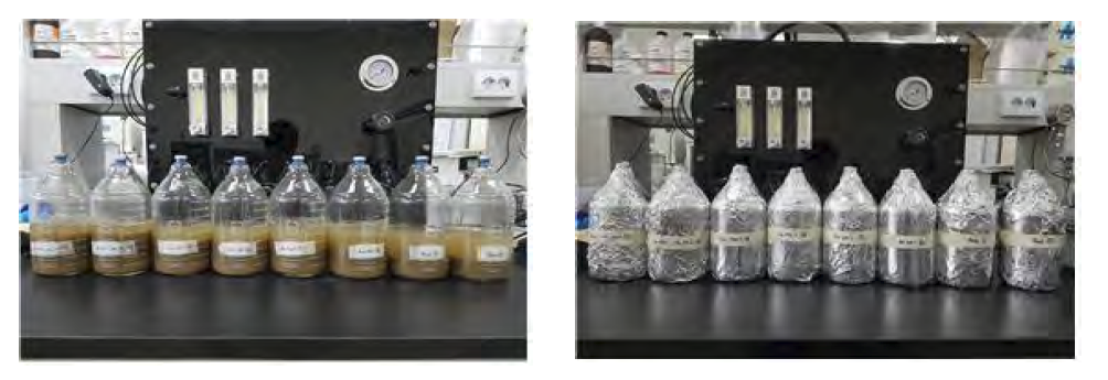 CO2에 의한 미생물 군집 변화 실험장치.