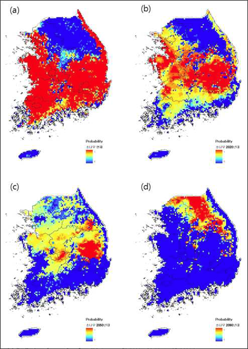 남한의 아열대화로 인한 소나무 잠재 분포 예측도.