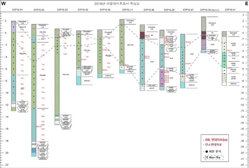 각 시추코어의 중기 홀로세(5,000~7,000년 전) 집중 분석구간 설정.