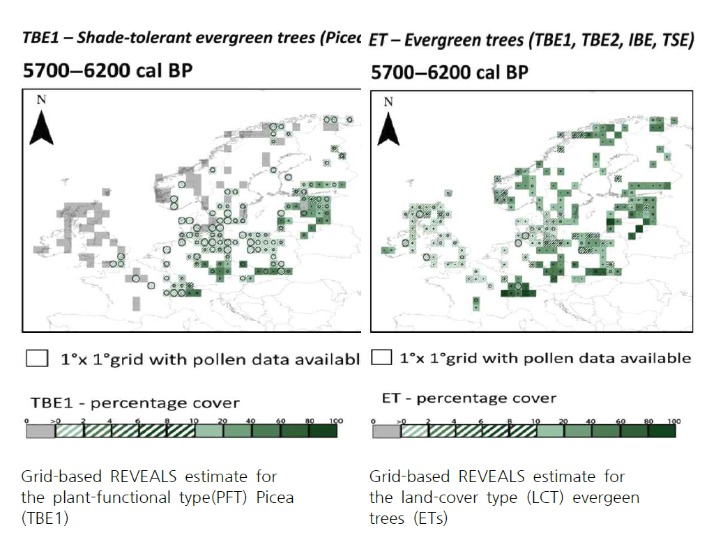 유럽지역의 격자기반 REVEALS로 생산한 중기 홀로세의 상록형 침엽수(좌)와 상록형 활엽수(우)의 평가도