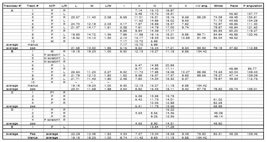 도마뱀 주행렬 측정치 자료