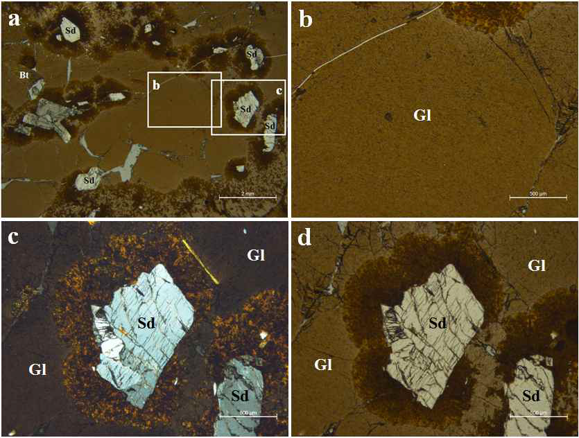 Polarized photomicrographs of obsidian (a) Glass and minerals under open nicol. (b) Enlarged image of the box marked as (b) in (a) photo under open nicol. (c) Enlarged image of the box area marked as (c) in (a) photo under crossed nicol. (d) Same image of (c) under open nicol.