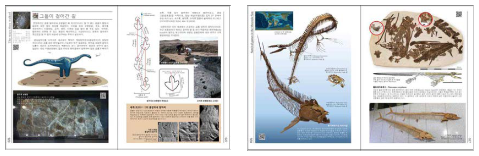 신규 전시물(공룡발자국, 백악기 바다의 생존게임)에 대한 추가페이지 구성