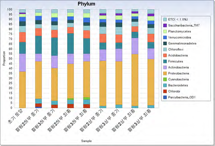 컬럼 토양 상부와 하부의 phyla 분포 분석 결과