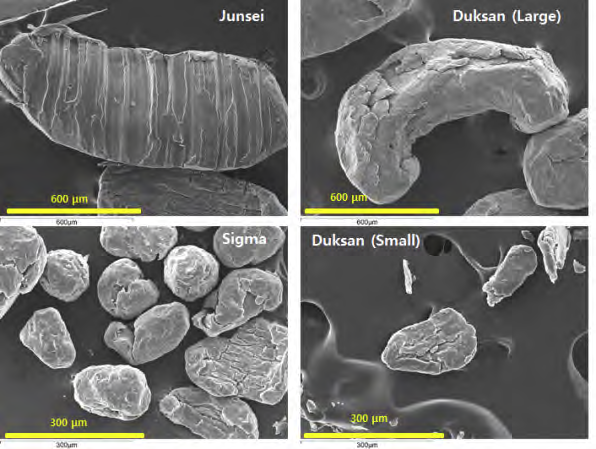 다양한 종류의 ZVMg (500 mg/L)에 의한 20 μM Cr(VI) 환원반응 후 반응 부산물의 SEM image