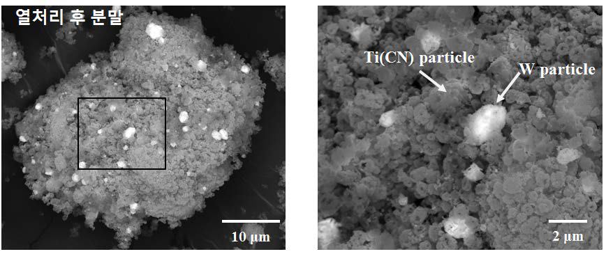 합성된 W-Ti(CN) 분말의 형상
