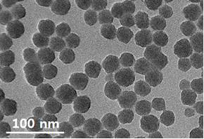 콜로이드 분산액에 사용된 실리카나노입자의 TEM 이미지