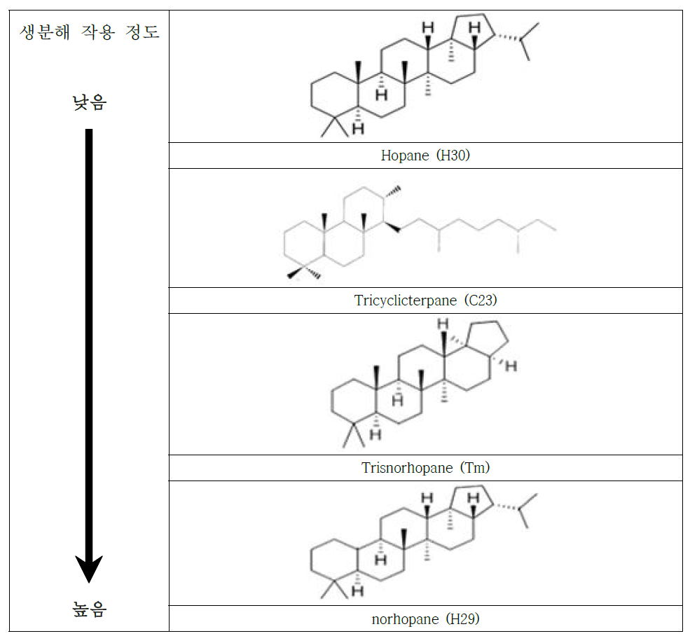 생분해 작용에 의해 분해되는 순서