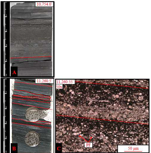 퇴적암상 6 – Skeletal Packstone to Wackestone의 시추코어 및 박편 사진