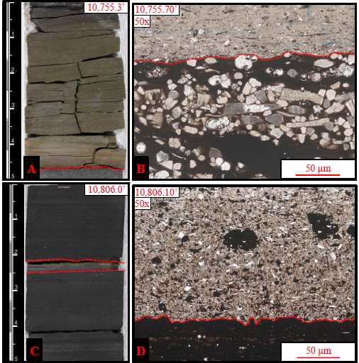 퇴적암상 8 – Massive to Bioturbated Claystone의 시추코어 및 박편사진