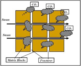 CO2 generation by steam injection