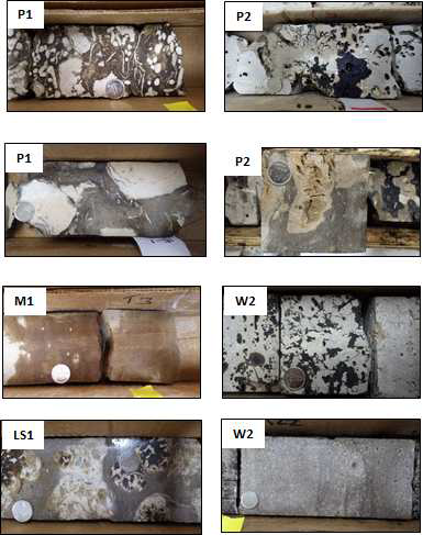 Leduc층 시추공의 대표 암상