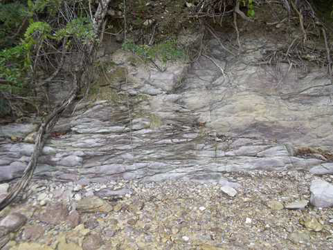 Sawai Formation outcrop in Sawai village, Seram Island