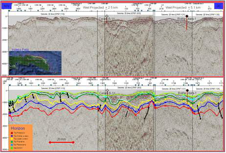 Seismic interpretation of composite line Northwest-Southeast